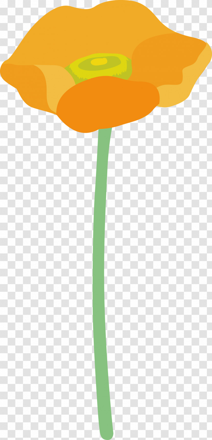 Poppy Flower Transparent PNG