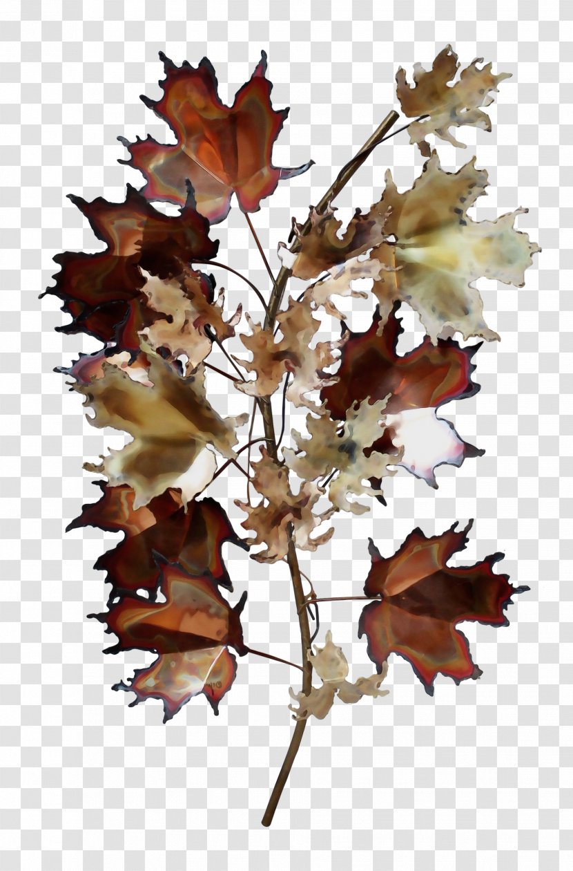 Oak Tree Leaf - Black - Maple Transparent PNG