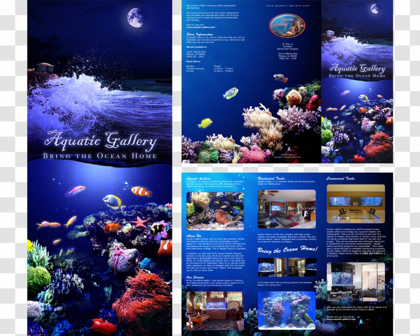 Aquarium Lighting Brochure Advertising - Reef - Design Transparent PNG