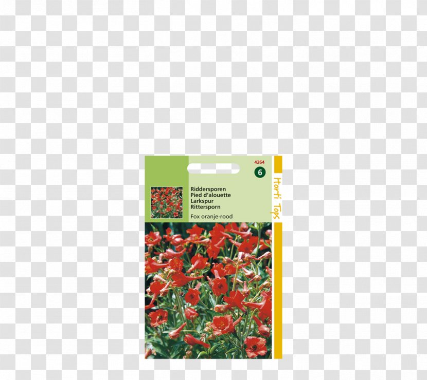 Cut Flowers Perennial Plant Columbine Larkspur - Nursery Fox Transparent PNG
