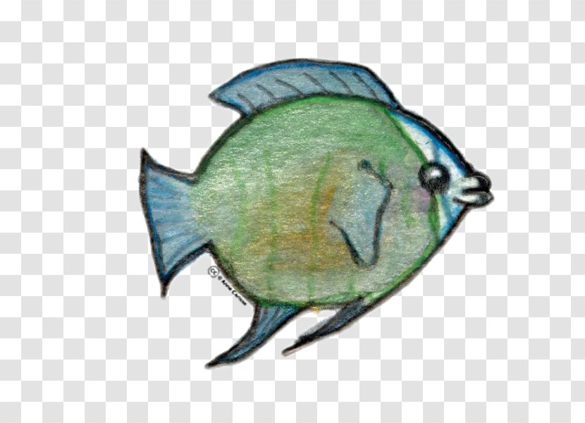 Clip Art Fauna Image .com End-user License Agreement - Butterflyfish - Perroquet Transparent PNG