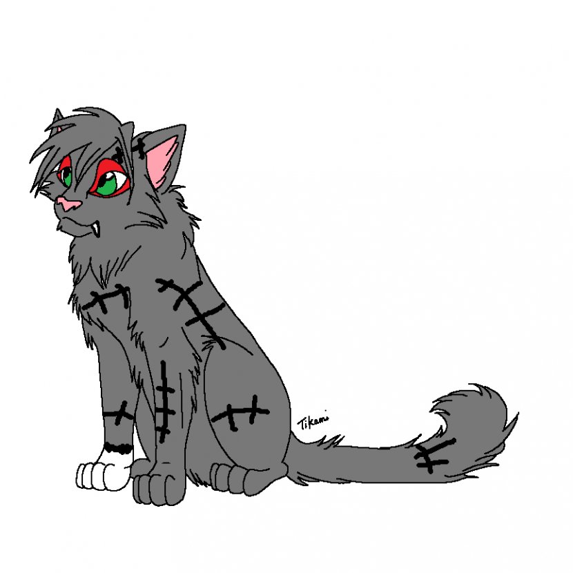 Cat Whiskers Line Art Warriors Drawing - Picnick Pictures Transparent PNG