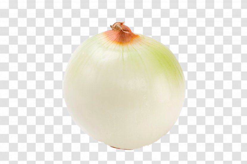 Onion Fruit - HD Peeled Transparent PNG