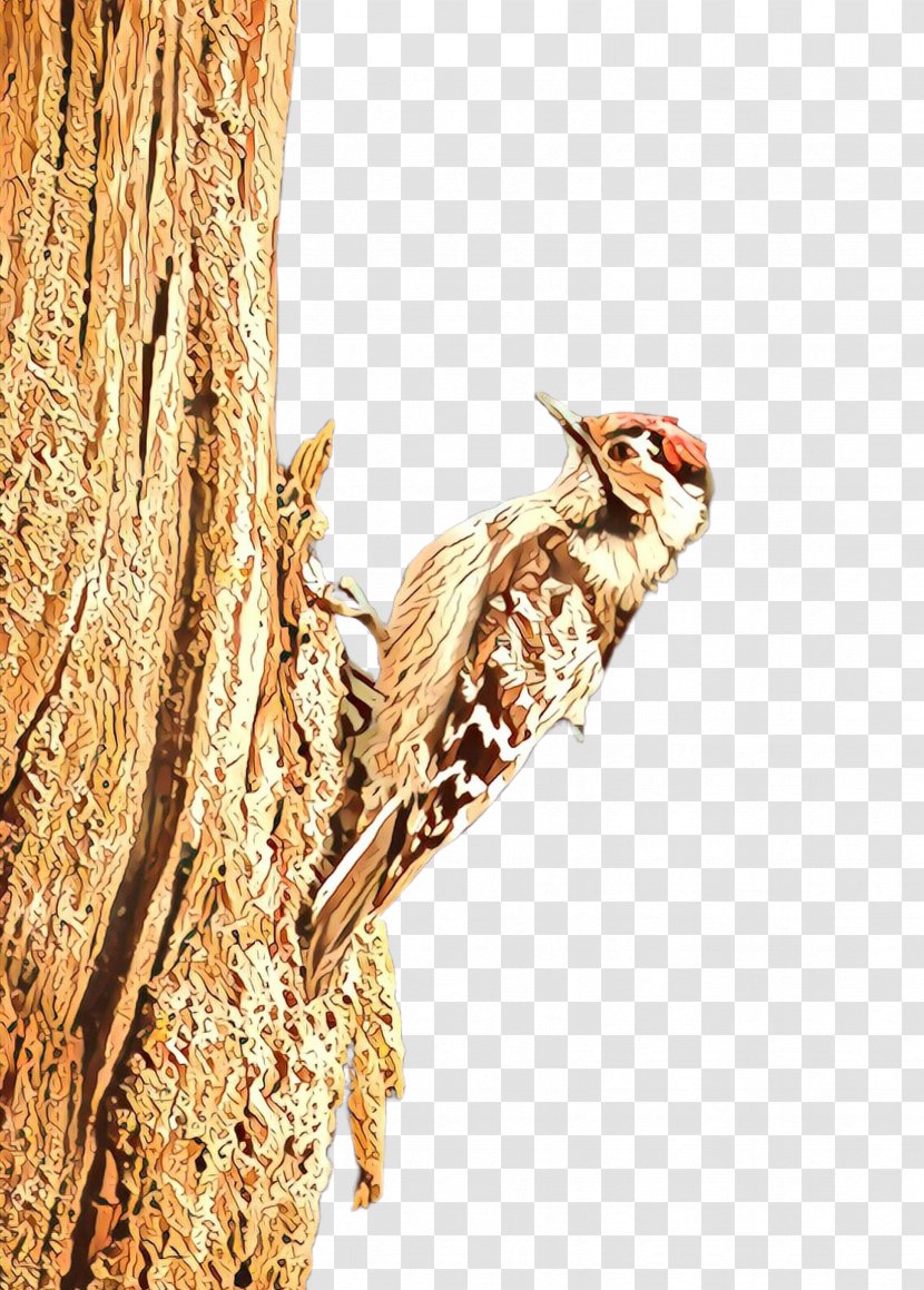 Bird Woodpecker Tree Piciformes American Creeper - Tail - Trunk Transparent PNG