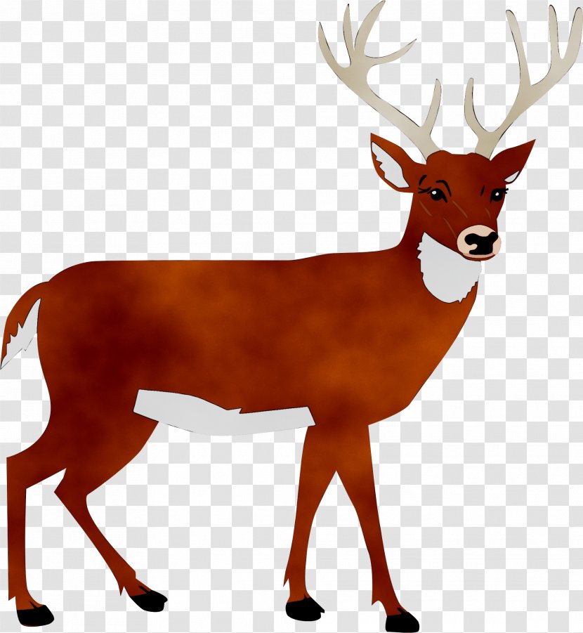 White-tailed Deer Clip Art Silhouette - Wildlife - Antelope Transparent PNG