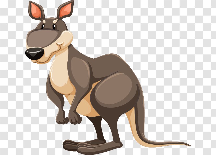 Kangaroo Diagram Clip Art - Shutterstock - Vector Cartoon Grey Transparent PNG