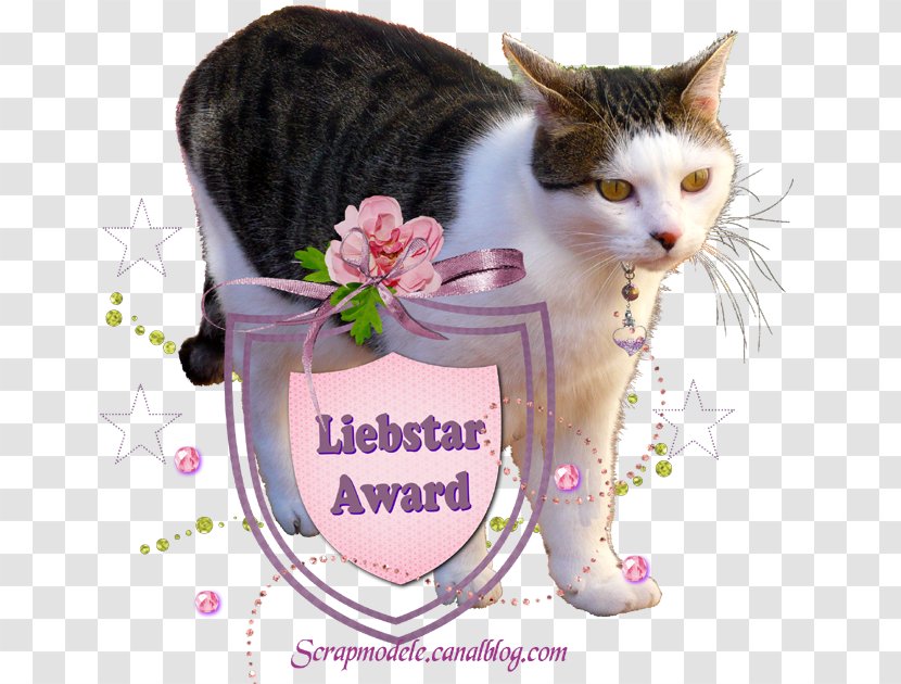 Whiskers Domestic Short-haired Cat Photo Caption Francin - Kitten Transparent PNG