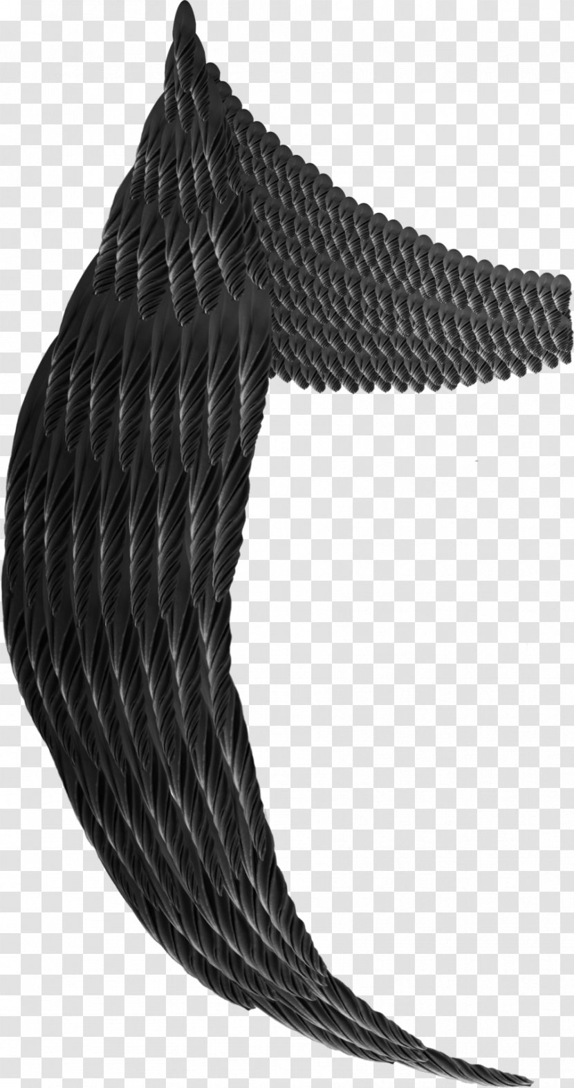 Rope Black - Hardware Accessory - Angel Wings Transparent PNG