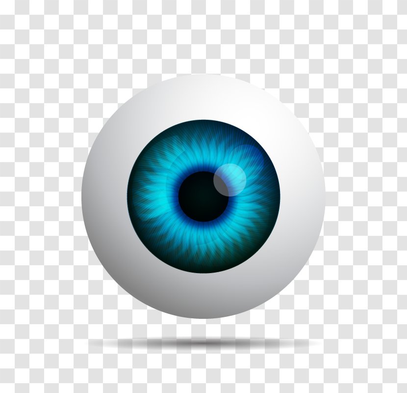 Eye Euclidean Vector Iris - Silhouette - Blue Transparent PNG