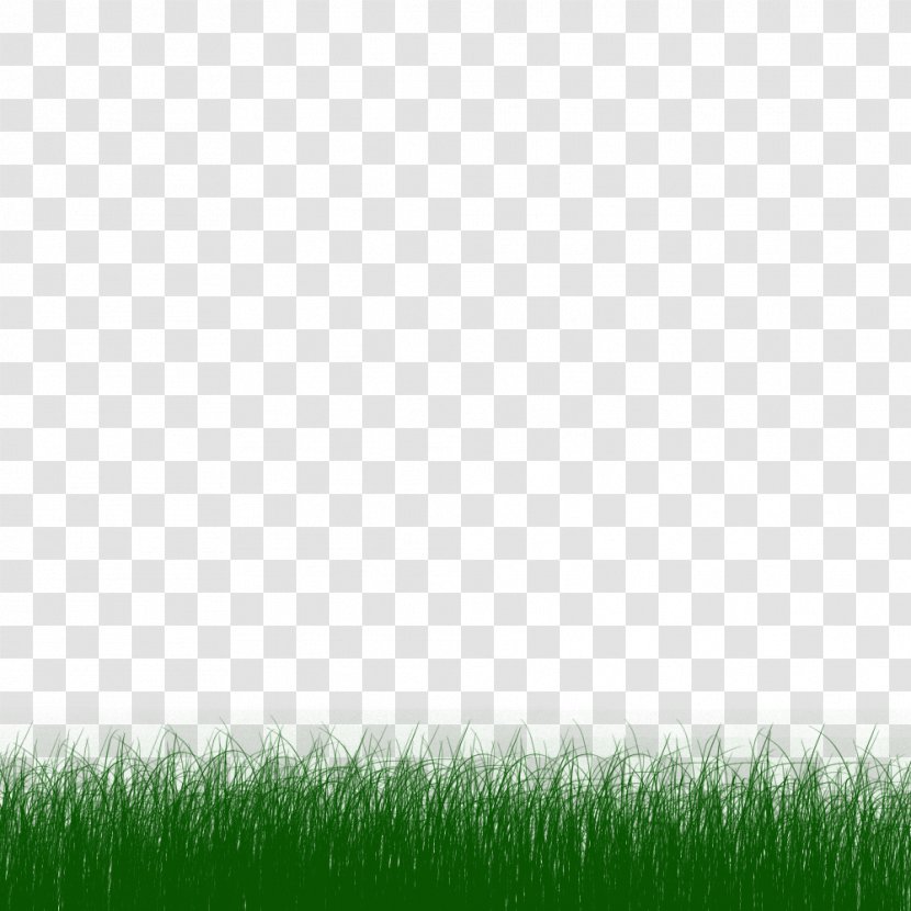 Clip Art - Cartoon - Rumput Animasi Transparent PNG