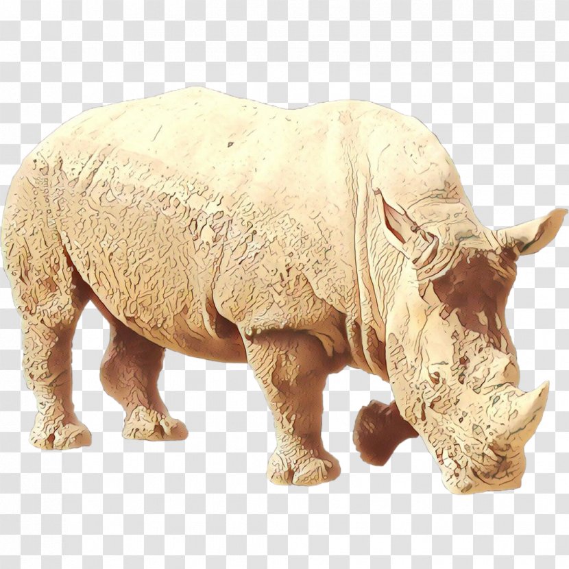 Rhinoceros Cattle Mammal Fauna Figurine - White - Sumatran Transparent PNG