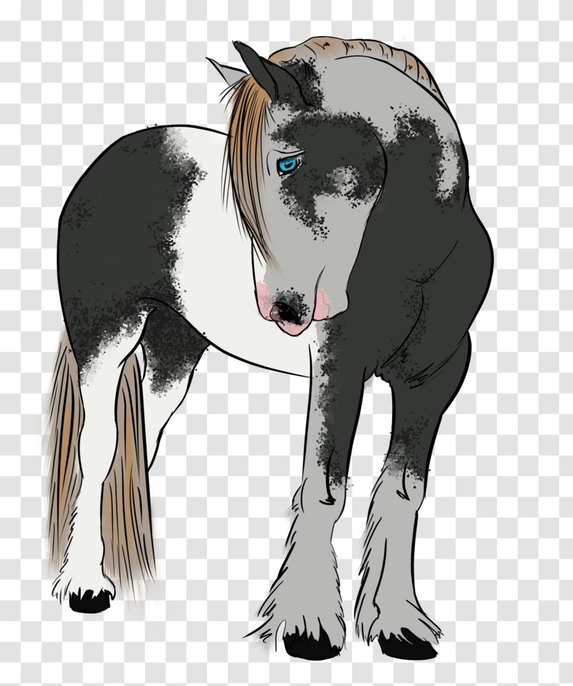 Mane Foal Mustang Stallion Halter - Horse Transparent PNG