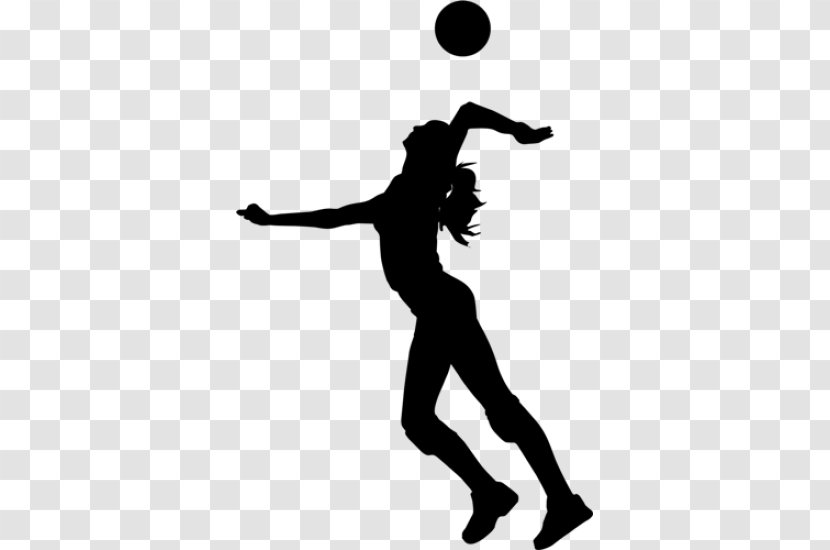 Volleyball Sports - Athlete Transparent PNG