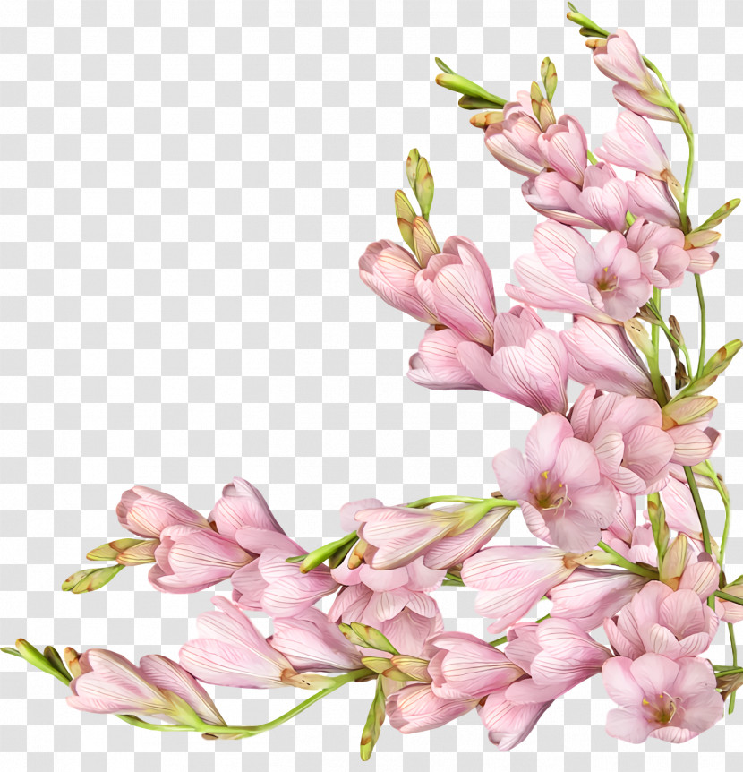 Spring Flower Spring Floral Flowers Transparent PNG