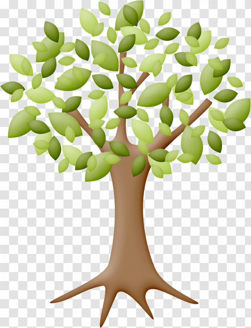 Drawing Tree Branch Photography Transparent PNG