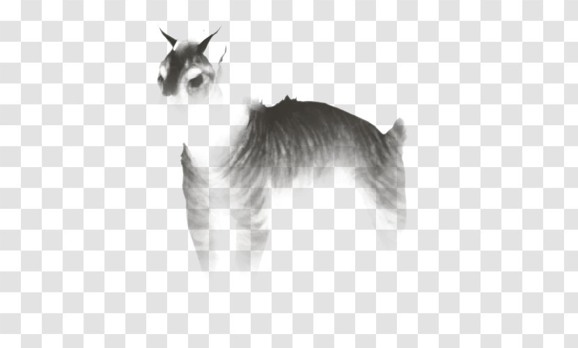Whiskers Balinese Cat Domestic Short-haired Dog Breed - Monochrome Photography Transparent PNG