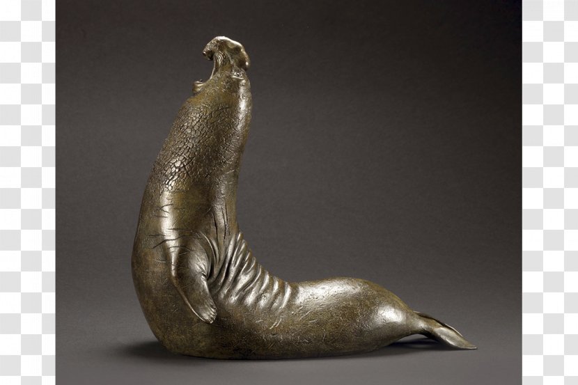 Bronze Sculpture Southern Elephant Seal Pinniped - Classical - Steve Transparent PNG