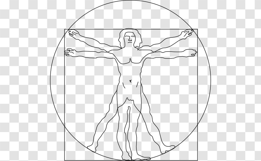 Vitruvian Man De Architectura Homo Sapiens Line Art Drawing - Tree - Painting Transparent PNG