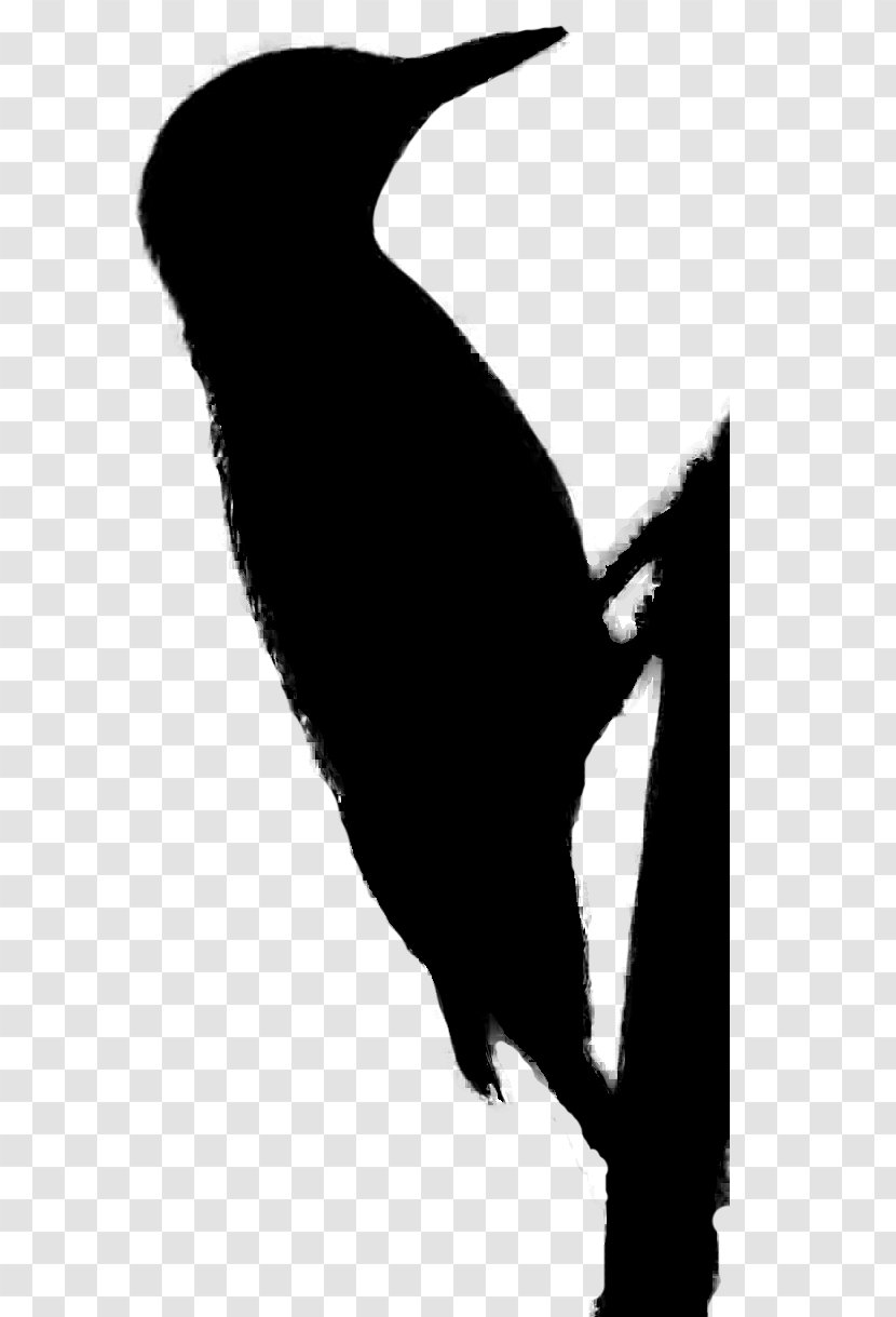Beak Flightless Bird Clip Art Silhouette Transparent PNG