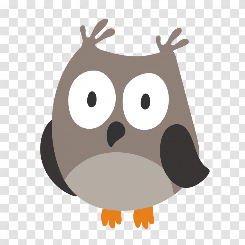 Owl Bird Cartoon - Beak Transparent PNG