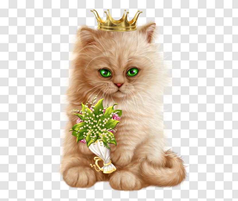 Afternoon Greeting Night Evening Afrikaans - Morning - Beautiful Animated Cats Transparent PNG