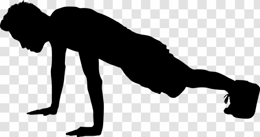 Exercise Push-up Physical Fitness Stretching Centre - Aerobic - Man Sport Transparent PNG