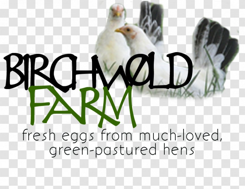 Logo Brand Chicken As Food Font - Farm Fresh Transparent PNG