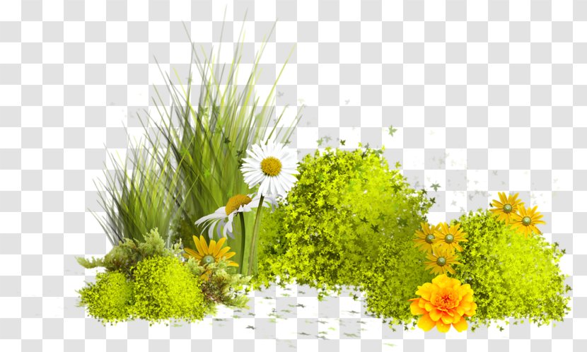 Image Painting GIF - Lawn Transparent PNG