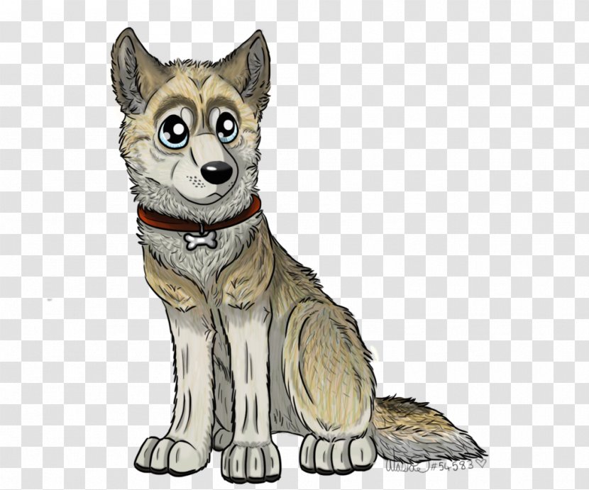 Saarloos Wolfdog Czechoslovakian Siberian Husky Shikoku Dog Breed Transparent PNG