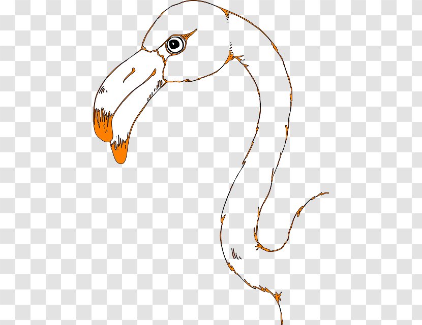 Bird Flamingo Whooping Crane Clip Art - Flamingos Transparent PNG