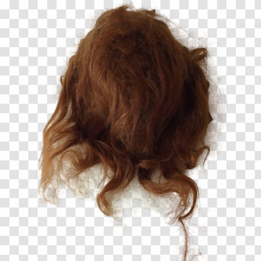 Wig Brown Hair Long Transparent PNG