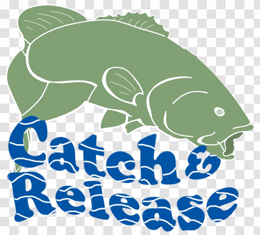 Catch And Release Bass Fishing Clip Art - Logo Transparent PNG