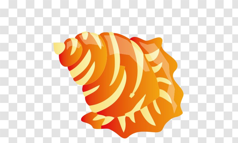 Beach Clip Art - Orange - Conch Transparent PNG