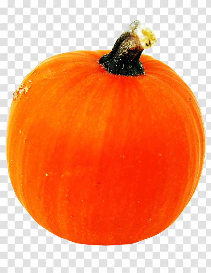 Pumpkin Transparent PNG