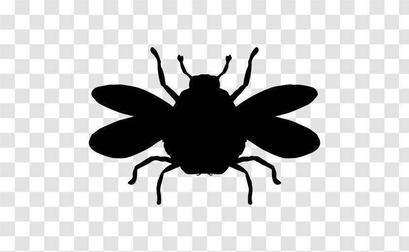 Bumblebee Insect Clip Art - Black And White - Bee Transparent PNG
