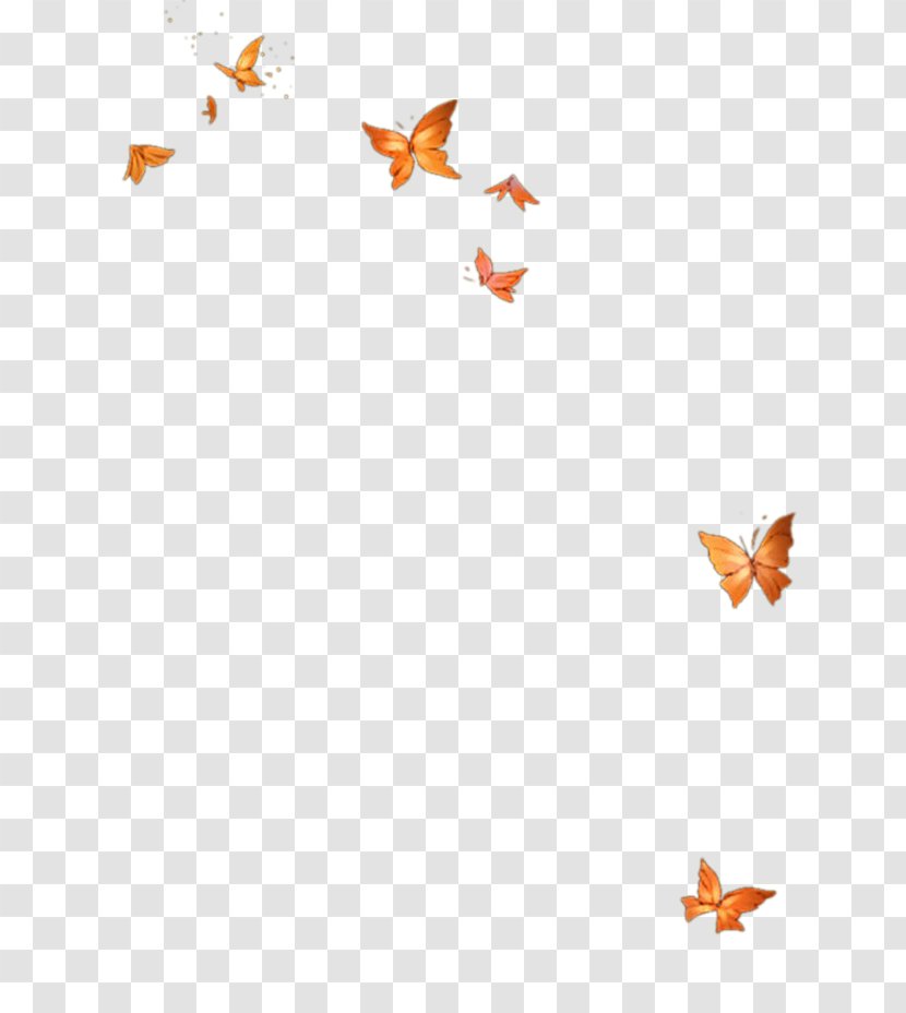 Butterfly Template Icon - Point - Group Transparent PNG