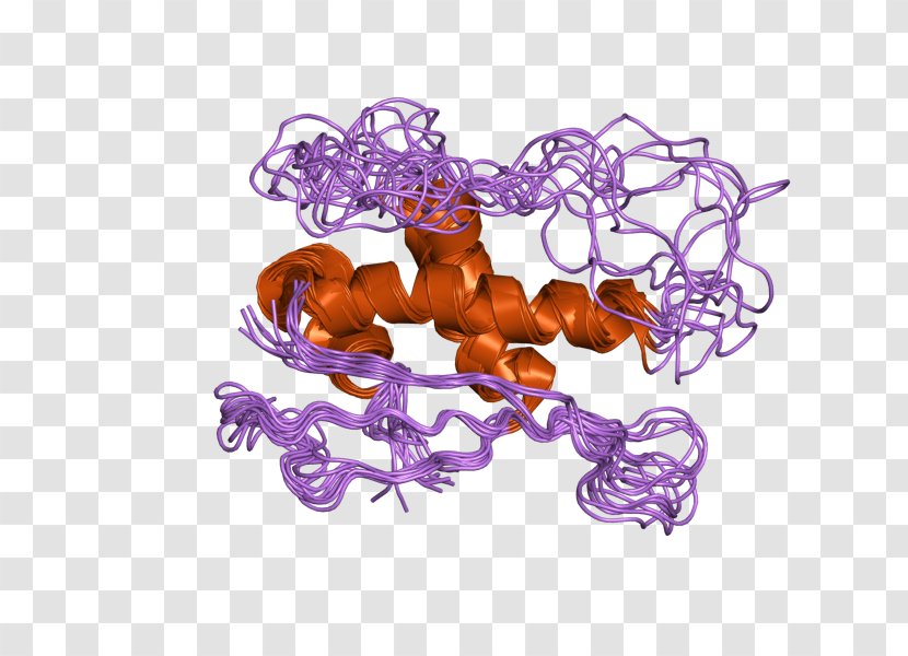 Protein SNX1 Sortilin 1 Gene Retromer - Organism - Epidermal Growth Factor Receptor Transparent PNG