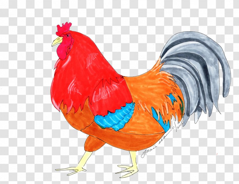 Chicken Cartoon - Livestock - Comb Transparent PNG