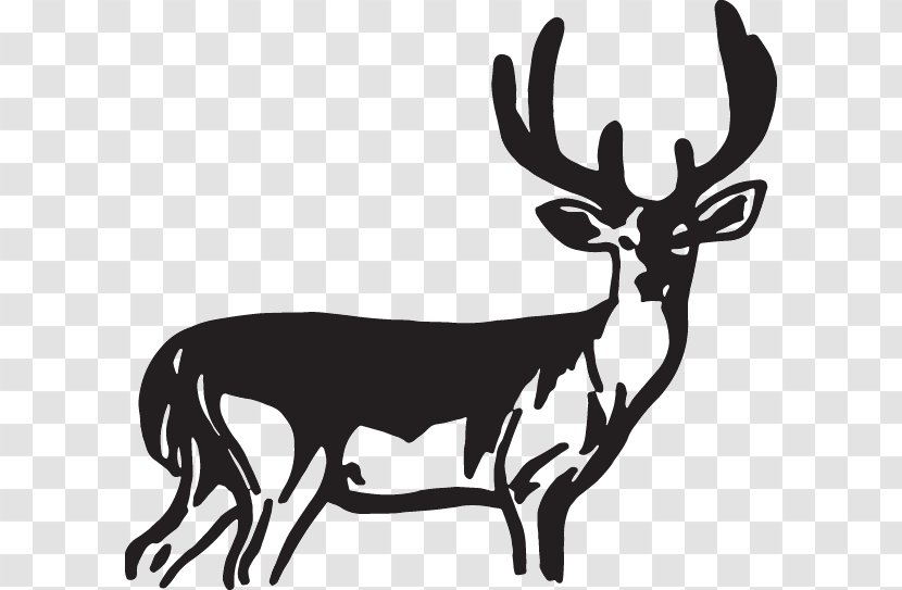 Decal Reindeer Sticker Elk - Fauna Transparent PNG