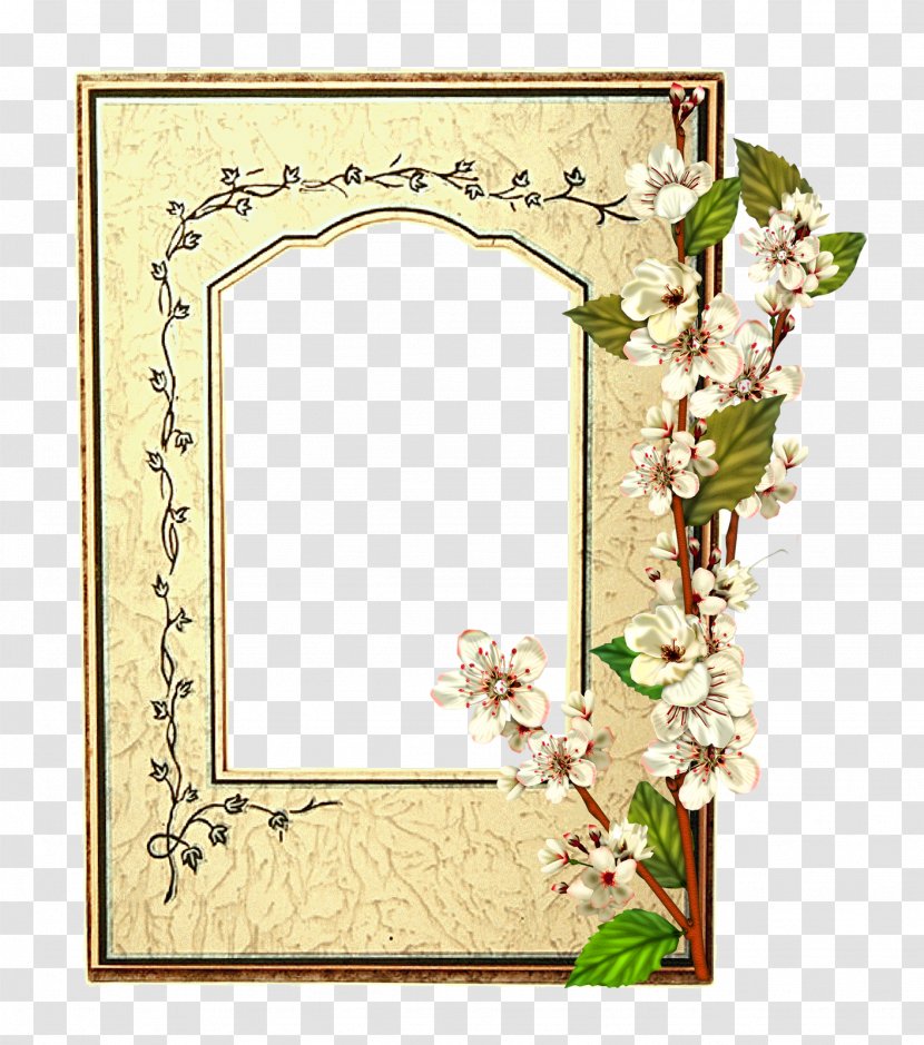 Picture Frames Photography Flower Drawing - Floristry - Marcos Transparent PNG
