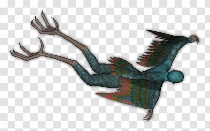 Fauna Animal Legendary Creature - Mythical - Harpy Transparent PNG