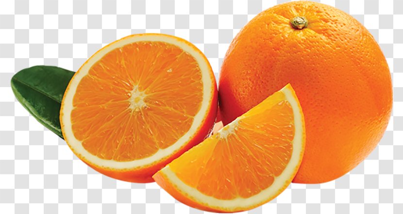 Blood Orange Mandarin Tangerine Bitter Valencia - Grapefruit Transparent PNG