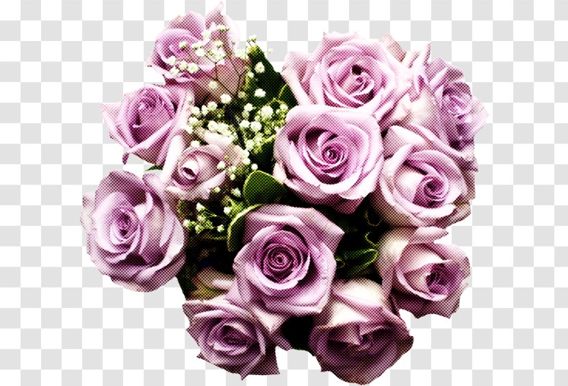 Pink Flowers Background - Floristry - Hybrid Tea Rose Transparent PNG