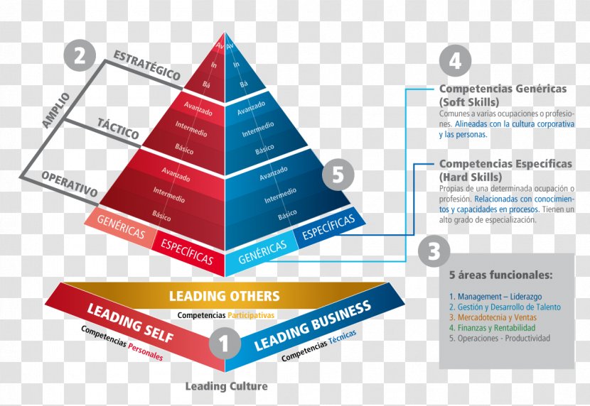 Soft Skills Competence Management Methodology - Definition - American Cornhole Organization Transparent PNG