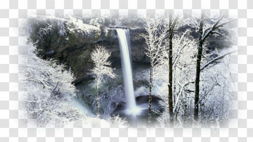 Desktop Wallpaper 1080p Forest Winter 720p - Water Transparent PNG