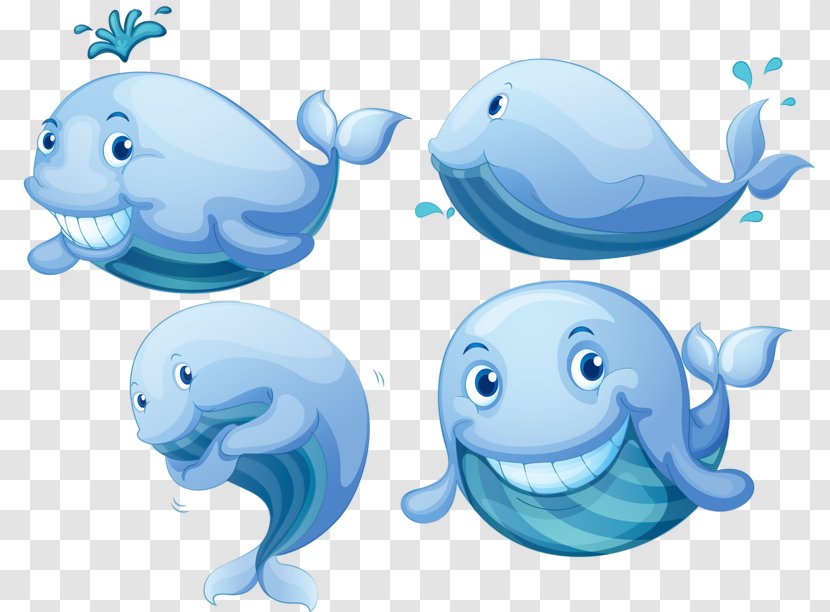 Blue Whale Right Whales Euclidean Vector Photography - Product Design - Cartoon Transparent PNG