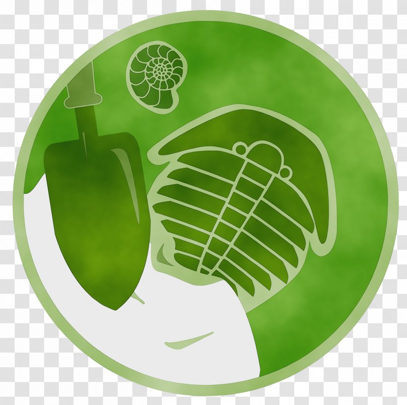 Green Leaf Watercolor - Dishware - Tableware Carnivorous Plant Transparent PNG
