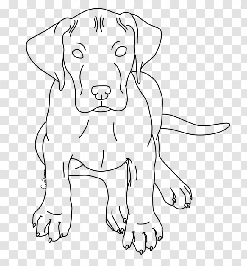 Dog Breed Great Dane Puppy Beagle Boxer - English Mastiff Transparent PNG
