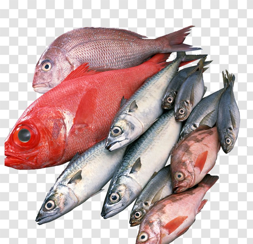 Japanese Cuisine Seafood Fish - Anchovy - A Bunch Of Transparent PNG