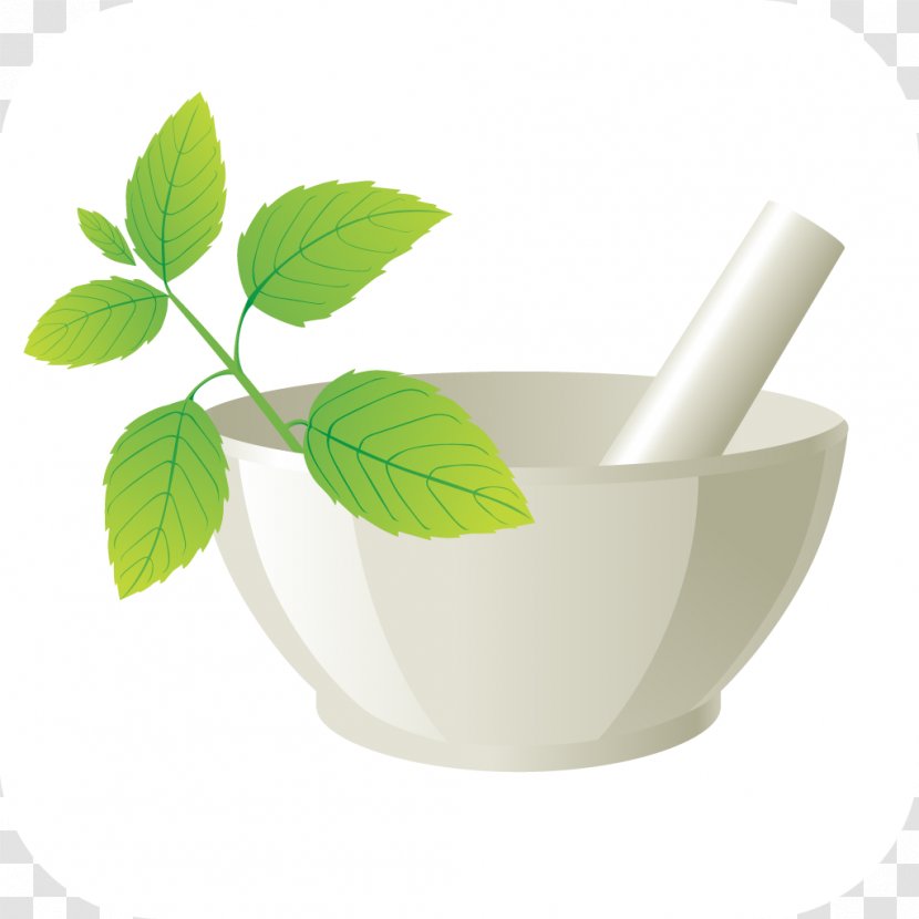 Image Clip Art Logo Ayurveda Vector Graphics - Herbal Medicines Transparent PNG